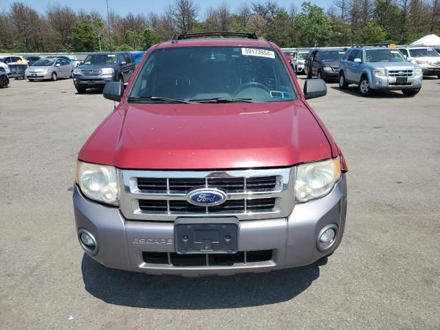 2010 Ford Escape XLT