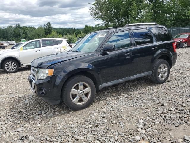 2010 Ford Escape Limited