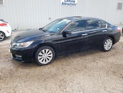 Salvage cars for sale from Copart Mercedes, TX: 2013 Honda Accord EXL