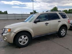 Ford salvage cars for sale: 2010 Ford Escape XLT