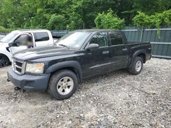 Salvage cars for sale at Candia, NH auction: 2008 Dodge Dakota SXT