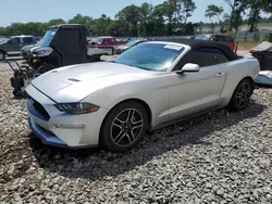 Salvage cars for sale at Byron, GA auction: 2019 Ford Mustang