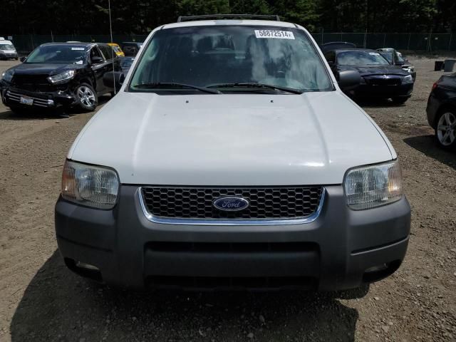 2003 Ford Escape XLT