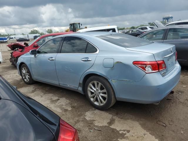 2010 Lexus ES 350