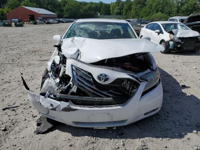 2009 Toyota Camry Hybrid