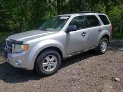 Salvage cars for sale at Bowmanville, ON auction: 2010 Ford Escape XLT