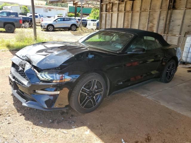 2023 Ford Mustang