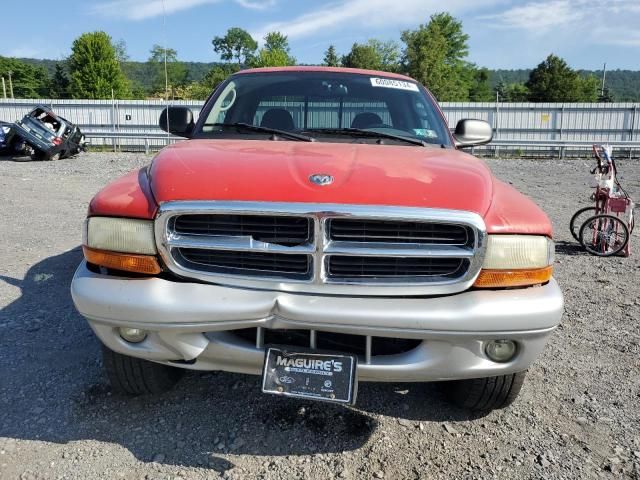 2002 Dodge Dakota SLT