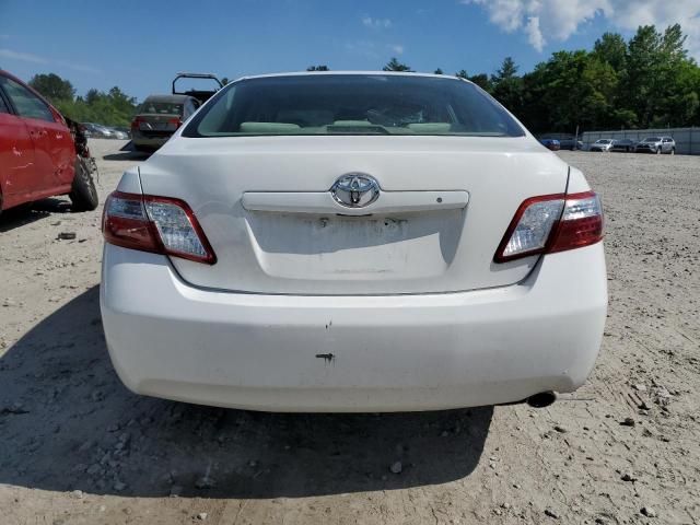 2009 Toyota Camry Hybrid