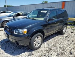 Ford Escape Limited salvage cars for sale: 2006 Ford Escape Limited