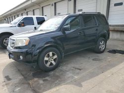 Honda salvage cars for sale: 2011 Honda Pilot EXL