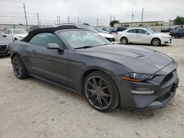 2019 Ford Mustang