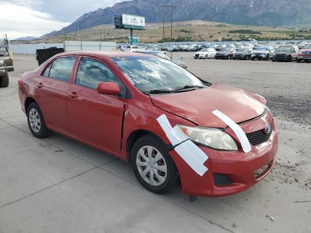 2009 Toyota Corolla Base