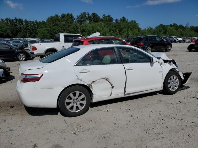 2009 Toyota Camry Hybrid