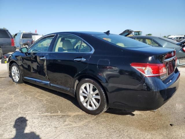 2010 Lexus ES 350