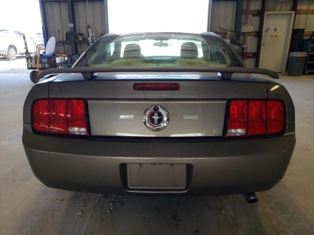 2005 Ford Mustang