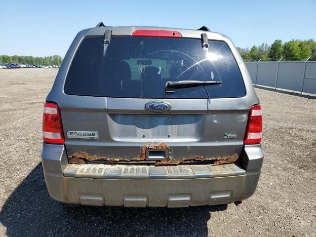 2010 Ford Escape XLT