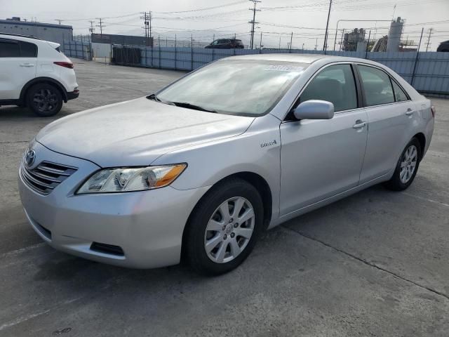 2009 Toyota Camry Hybrid