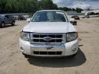 2008 Ford Escape HEV