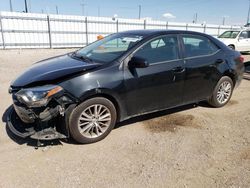 Salvage cars for sale at Greenwood, NE auction: 2015 Toyota Corolla L