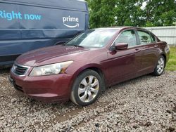 Honda Accord exl salvage cars for sale: 2010 Honda Accord EXL