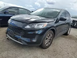 Salvage cars for sale at Tucson, AZ auction: 2022 Ford Escape SE