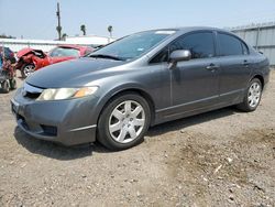 Honda Civic salvage cars for sale: 2009 Honda Civic LX