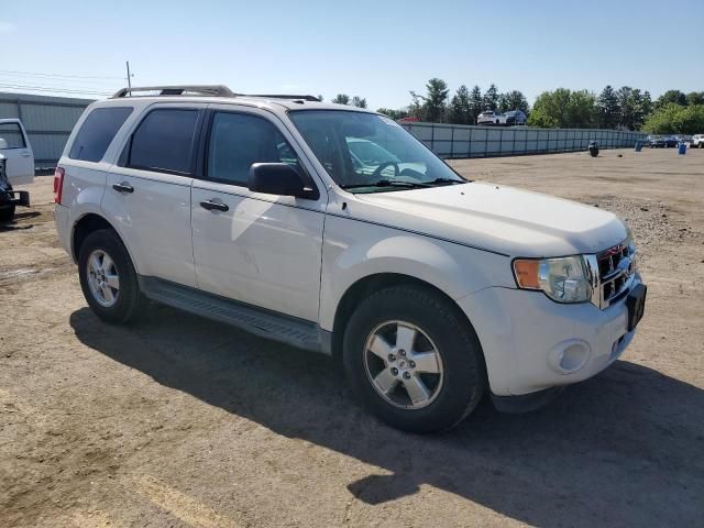 2009 Ford Escape XLT