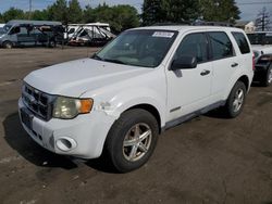 Ford Escape XLS Vehiculos salvage en venta: 2008 Ford Escape XLS