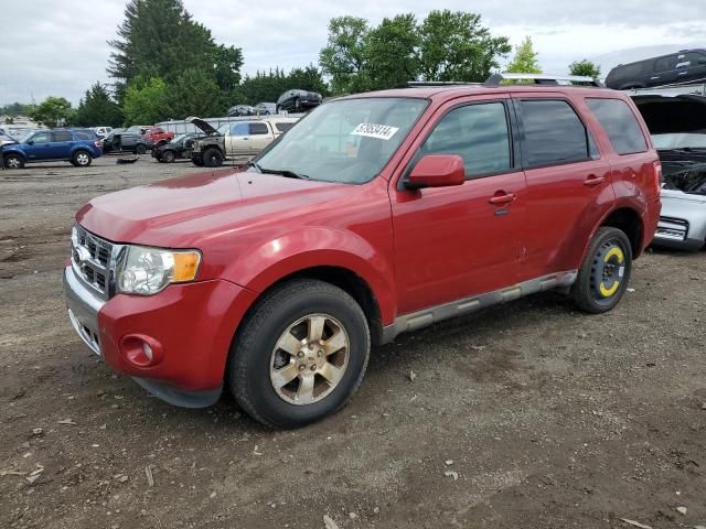 2011 Ford Escape Limited