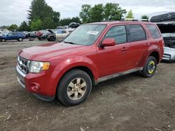 Ford Vehiculos salvage en venta: 2011 Ford Escape Limited