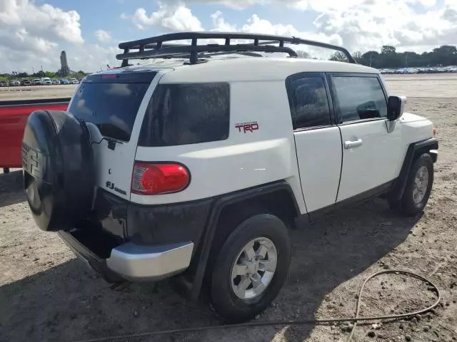 2010 Toyota FJ Cruiser