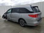 2024 Honda Odyssey EXL