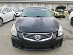 2008 Nissan Maxima SE