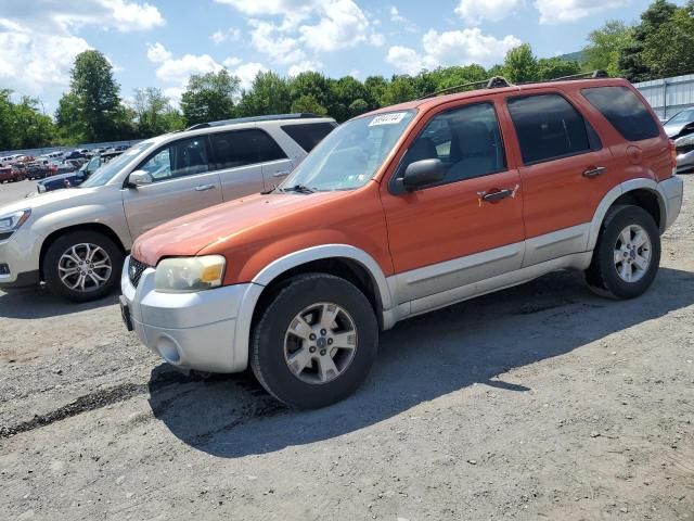 2007 Ford Escape XLT