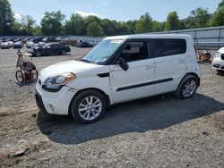 Salvage cars for sale at Grantville, PA auction: 2013 KIA Soul +