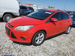 Ford Focus salvage cars for sale: 2014 Ford Focus SE