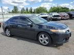 2010 Acura TSX