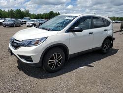 Salvage cars for sale from Copart Ontario Auction, ON: 2015 Honda CR-V LX