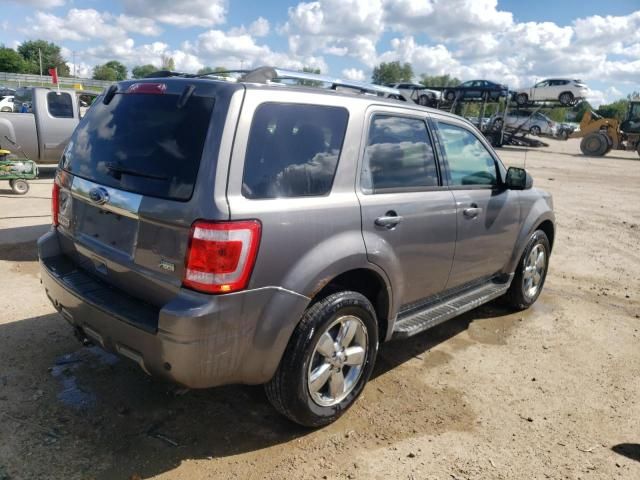 2010 Ford Escape Limited