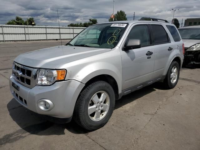 2010 Ford Escape XLT