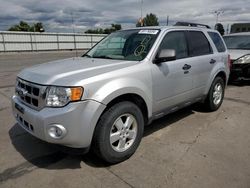 Salvage cars for sale at Littleton, CO auction: 2010 Ford Escape XLT