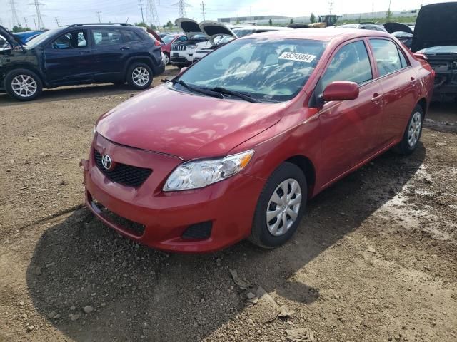 2010 Toyota Corolla Base