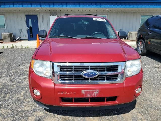 2011 Ford Escape XLT