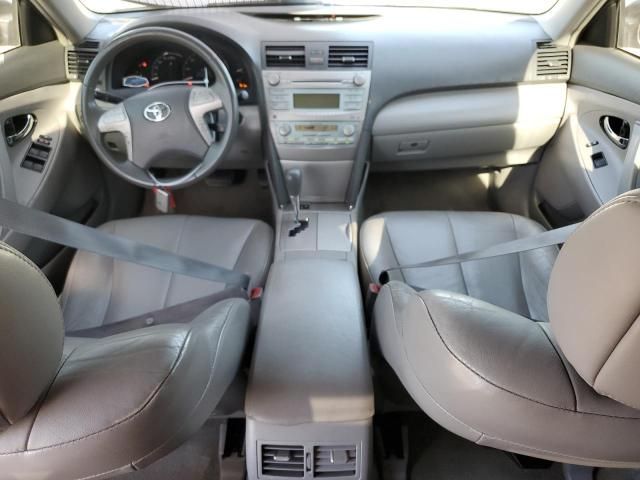 2009 Toyota Camry Hybrid