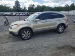 SUV salvage a la venta en subasta: 2007 Honda CR-V EXL