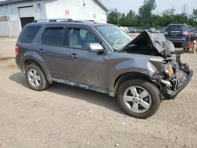 2011 Ford Escape Limited