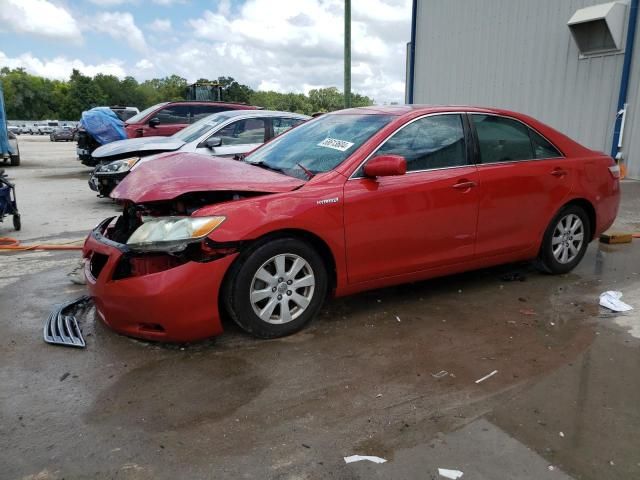 2008 Toyota Camry Hybrid