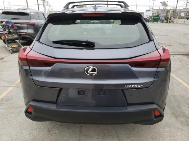 2024 Lexus UX 250H Base