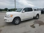 2006 Toyota Tundra Double Cab Limited